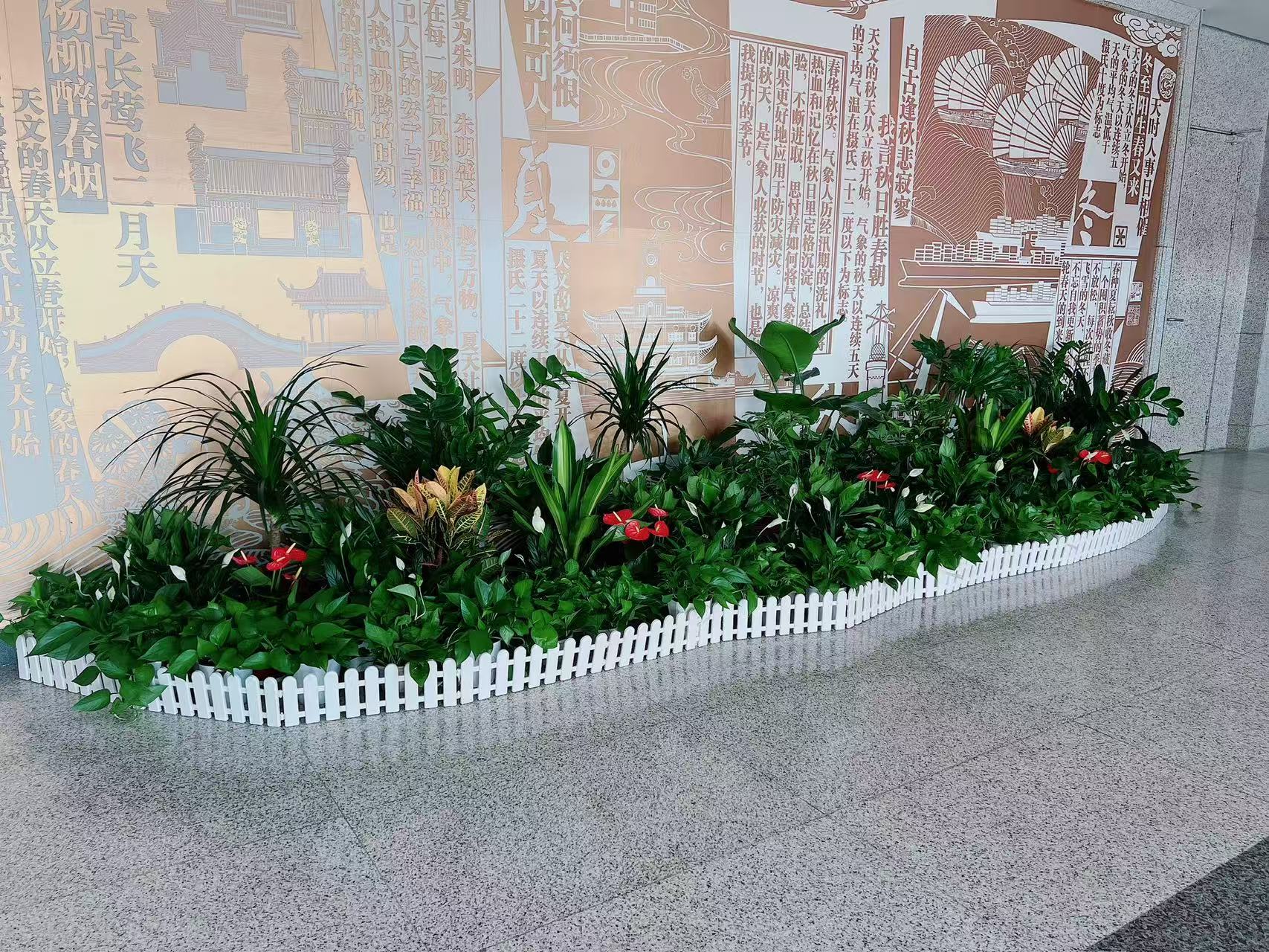 别错过！前湾盆景租摆哪家好，权威推荐来了